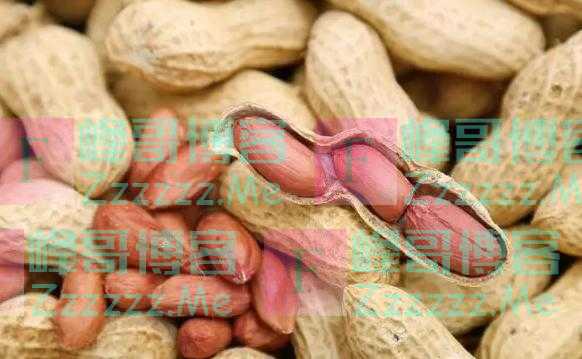 花生，是加速癌细胞扩散的“催化剂”吗？研究结果公布