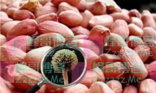 花生，是加速癌细胞扩散的“催化剂”吗？研究结果公布