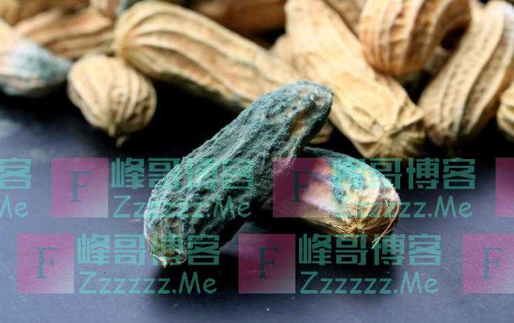 花生，是加速癌细胞扩散的“催化剂”吗？研究结果公布