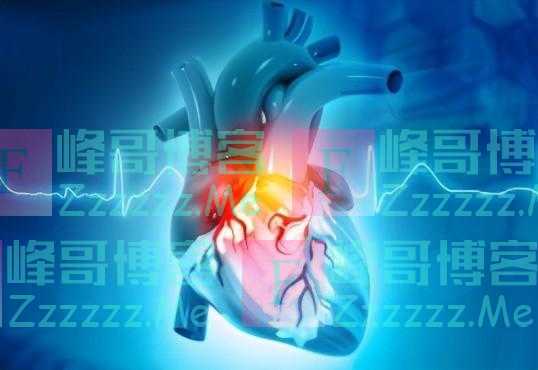 什么是葛根，葛根为何被称为是“亚洲人参”？你是否吃过？