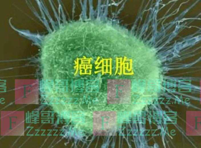 癌细胞已扩散，为啥病人仍然显得精神奕奕，胃口良好？告诉你实情