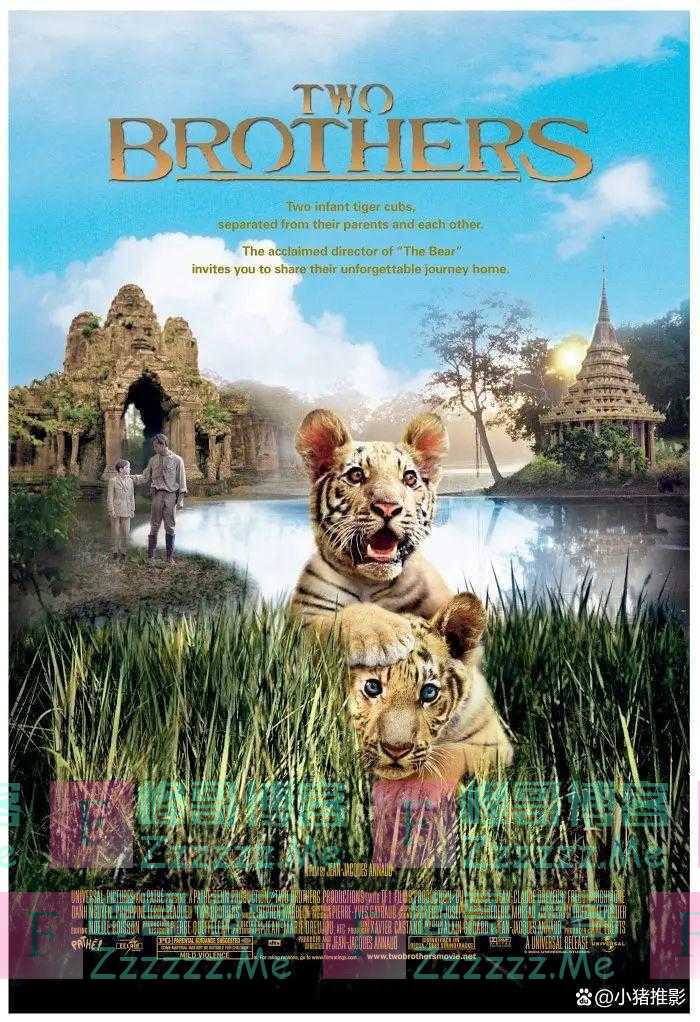 分享几部感人至深的动物题材电影,总有一部你喜欢的,千万不要错过