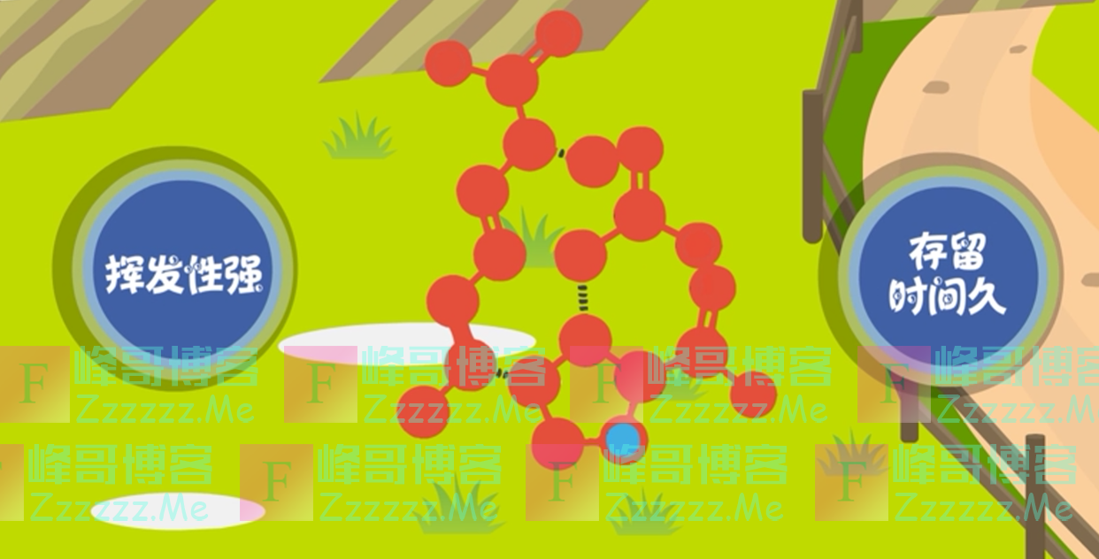 秦岭深山出现的大灵猫,遇敌时发出臭味防身,却用麝香与同伴联系