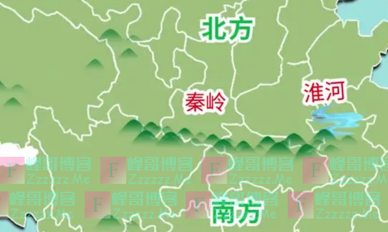 秦岭深山出现的大灵猫,遇敌时发出臭味防身,却用麝香与同伴联系