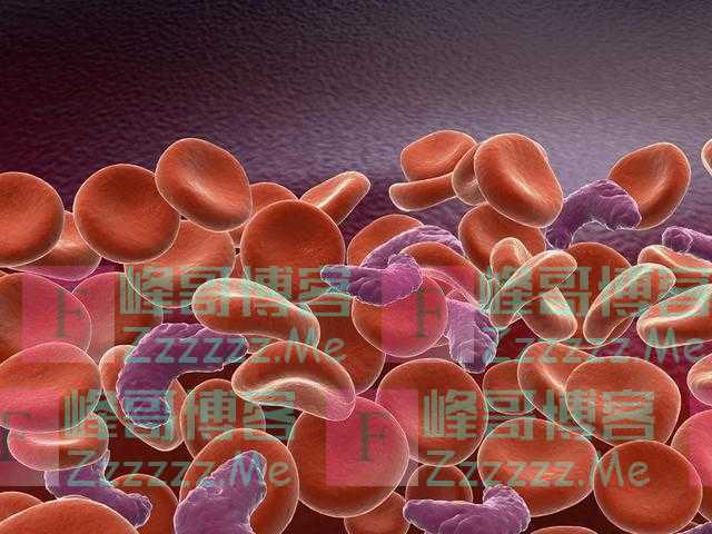 “白血病”专挑孩子下手,家长注意:孩子若有5个异常,及时排查