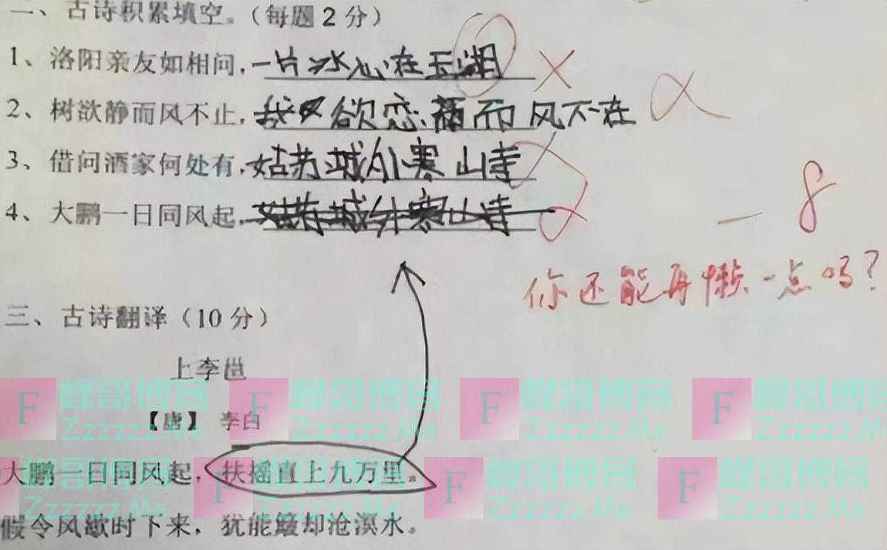 对了但又好像没对,小学生“零分试卷”走红,老师:等会,有点乱