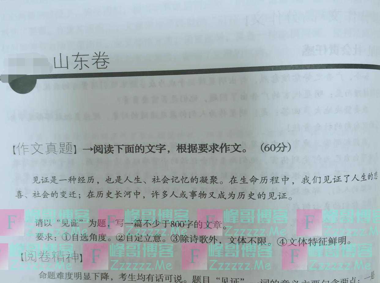 山东满分作文《见证》构思清奇，开头：我是一个史官