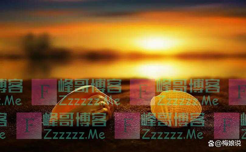 真爱一个人,要学会没事找事儿