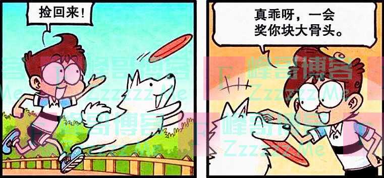 演出时，王子阳光帅气，公主柔情性感，阿星胖嘟嘟，奋豆丑哭哭