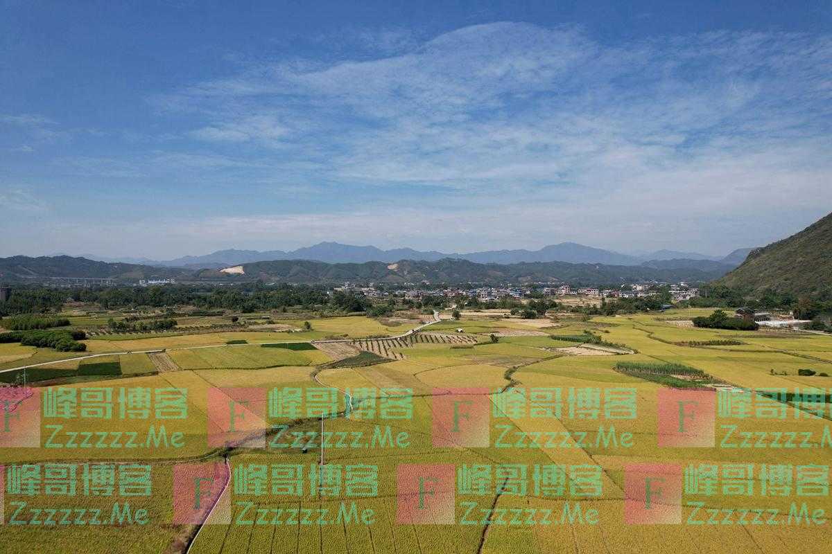 胡春华：建设宜居宜业和美乡村