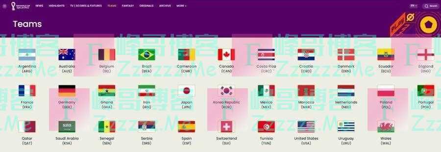 2022卡塔尔世界杯十大看点