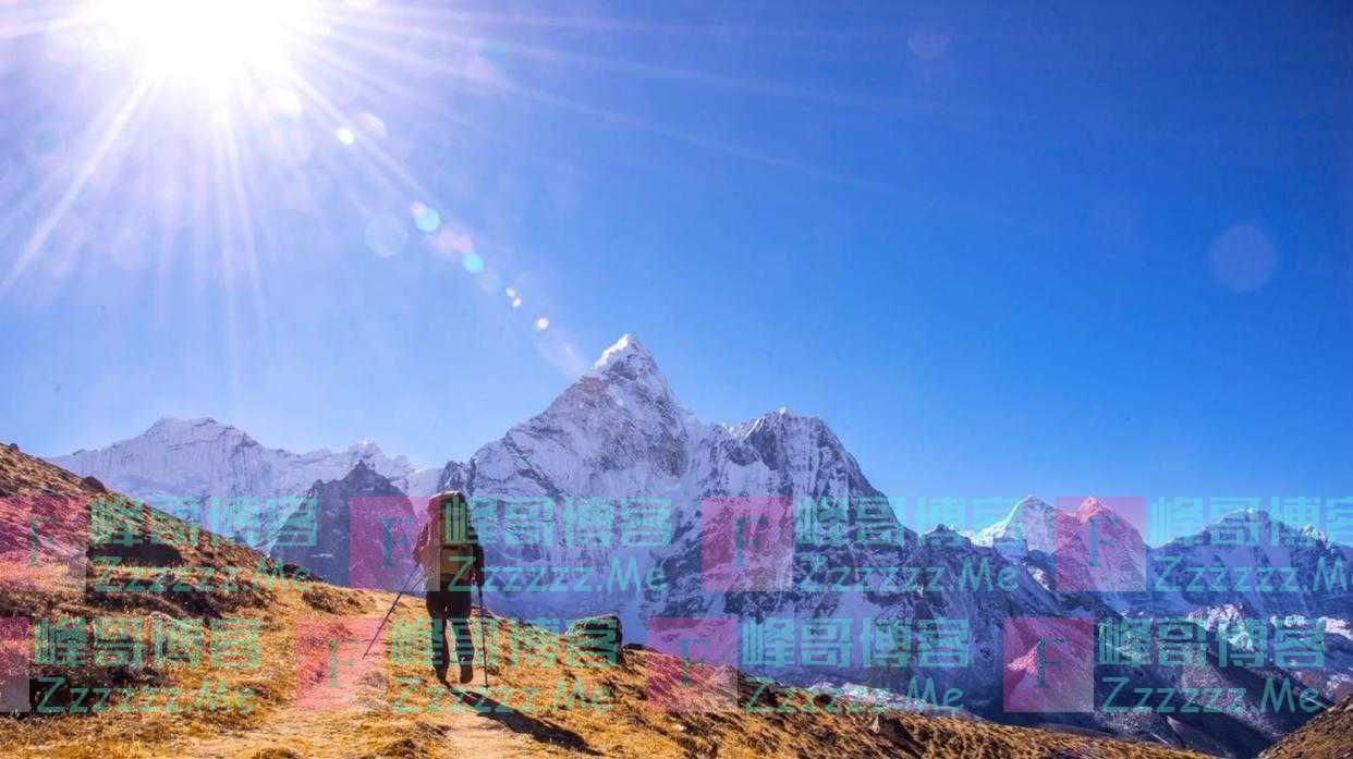 跨省游不再与风险区联动 利好暂未体现为实际出行转换率 业内：至少还得等一个冬天