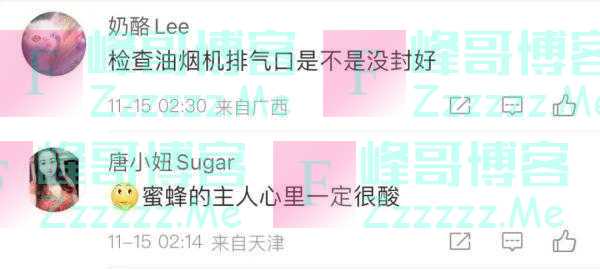 突然流蜜汁！从厨房吊顶铲出30斤蜂蜜