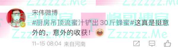 突然流蜜汁！从厨房吊顶铲出30斤蜂蜜