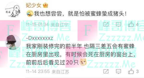 突然流蜜汁！从厨房吊顶铲出30斤蜂蜜