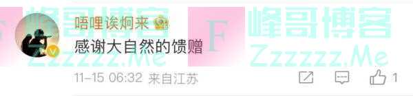 突然流蜜汁！从厨房吊顶铲出30斤蜂蜜