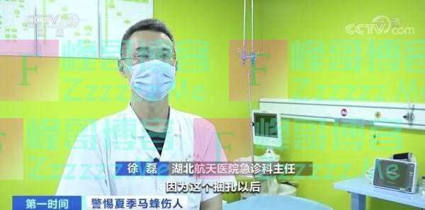 突然流蜜汁！从厨房吊顶铲出30斤蜂蜜