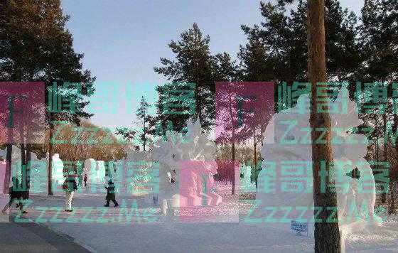 初冬天寒，提醒中老年人：“吃1补喝2样”，应季食补益处多多