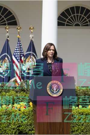 环球时报社评：美副总统访菲意在“拱火”南海问题，很不地道