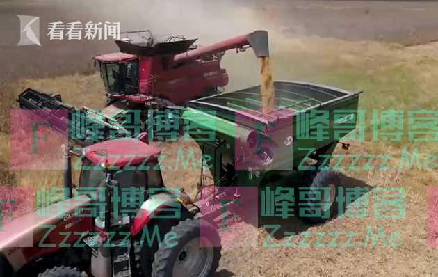 东北秋收现状调查③:下游企业快买不起了怎么办