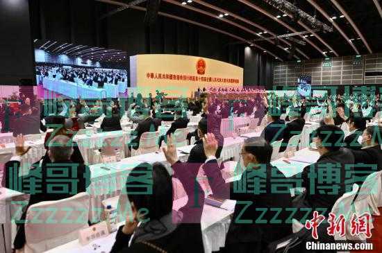 36名香港特区第十四届全国人大代表选举产生