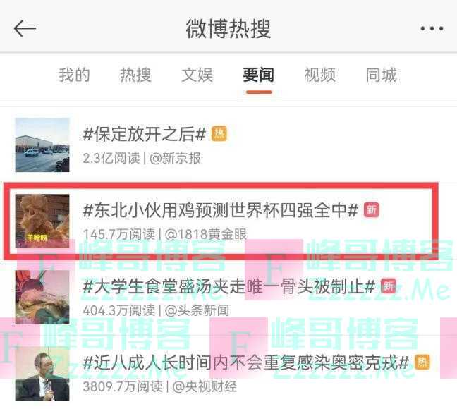 Wei球迷|预测准确率高达90%?卡塔尔世界杯这些“神兽”又