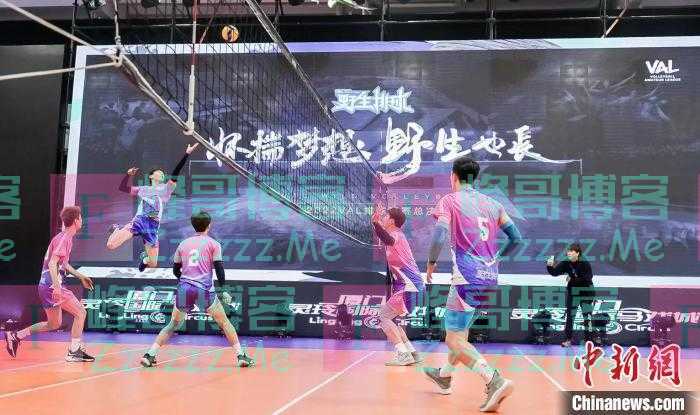 惠若琪魏秋月担纲导师 VAL排球联赛赛制耳目一新