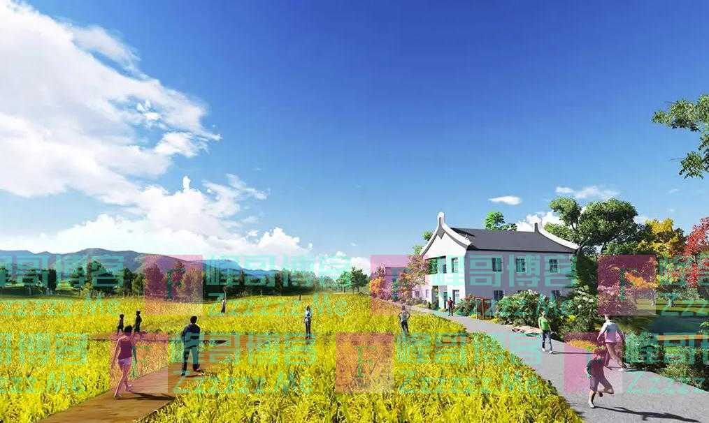 对话｜乡村振兴责任制，怎样落实？