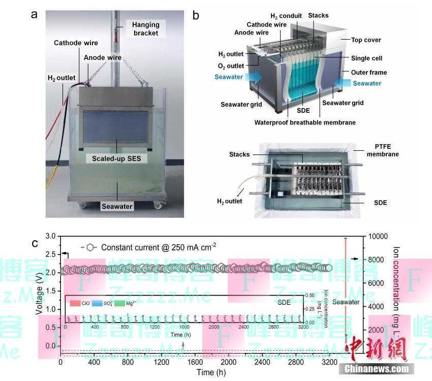 中国两院院士评出2022年中国和世界十大科技进展