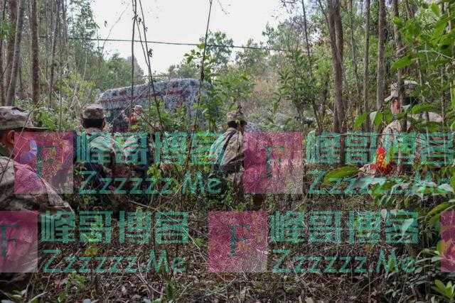 这样的综合演练，真刺激！