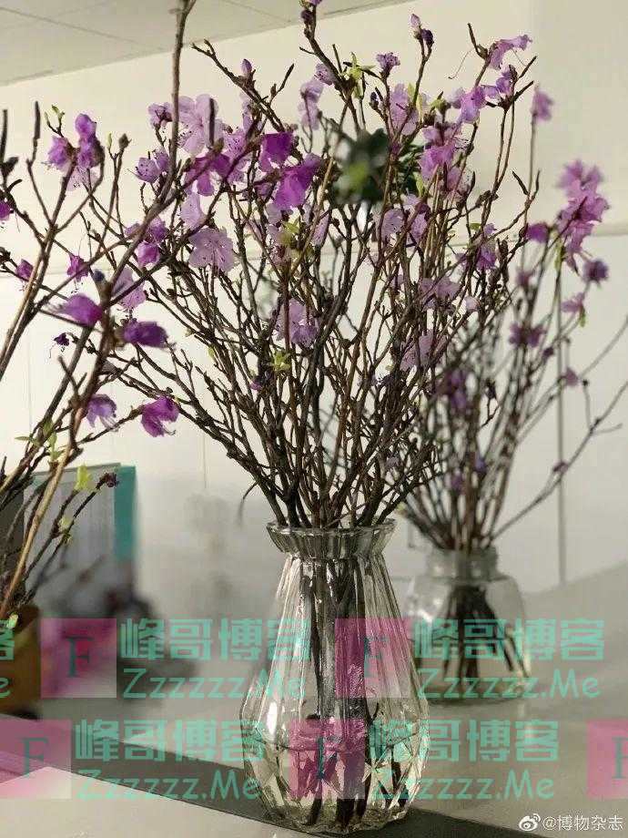 紧急提醒！不要买，不要买！