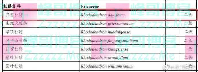 紧急提醒！不要买，不要买！