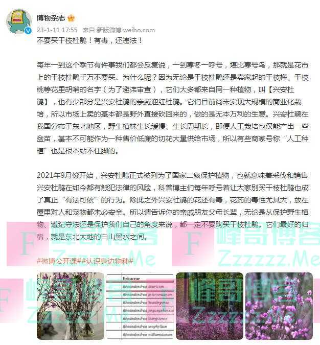 紧急提醒！不要买，不要买！