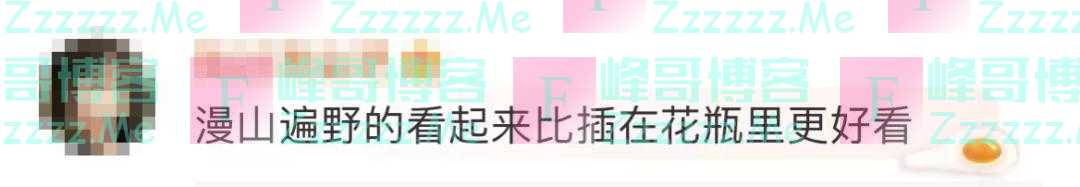 紧急提醒！不要买，不要买！