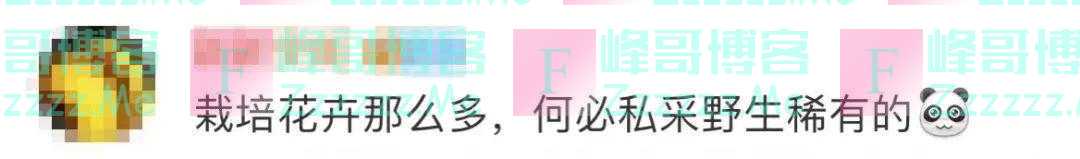 紧急提醒！不要买，不要买！