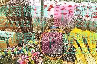 紧急提醒！不要买，不要买！