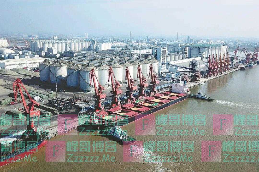 国际粮食市场震荡传导国内，中国应早做准备