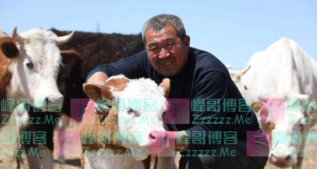 国际粮食市场震荡传导国内，中国应早做准备