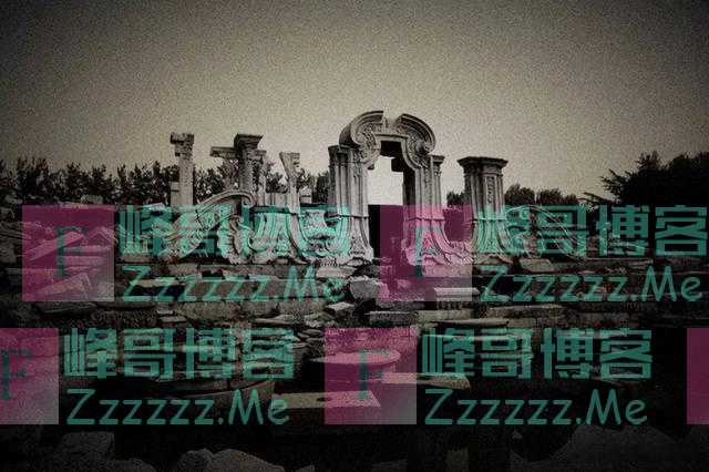 老外别人家中“捡漏”紫檀衣柜，9315万人民币反卖给原主人