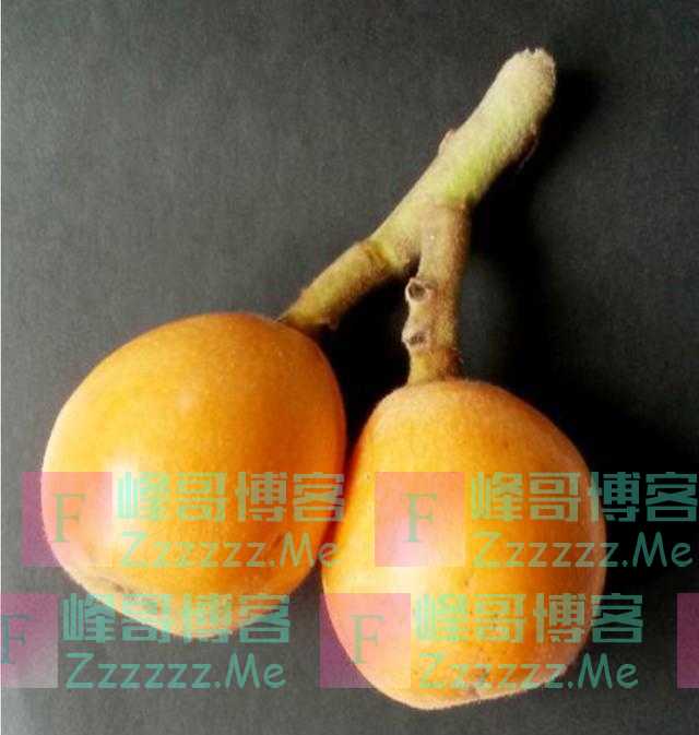 健脾润肺恢复元气！推荐两款养生汤
