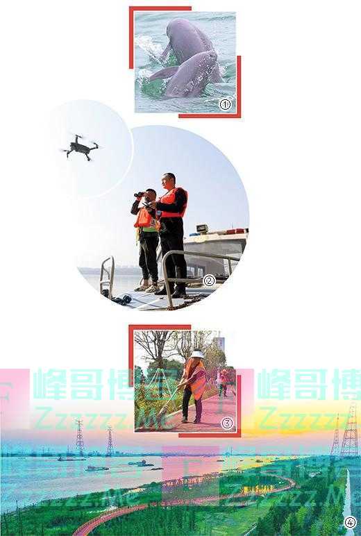 长江十年禁渔全面启动以来取得扎实成效 共护一江碧水永续东流(绿色焦点)