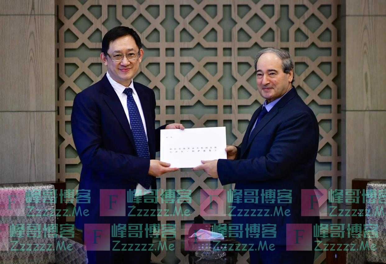 外交部西亚北非司副司长史宏微任中国驻叙利亚大使