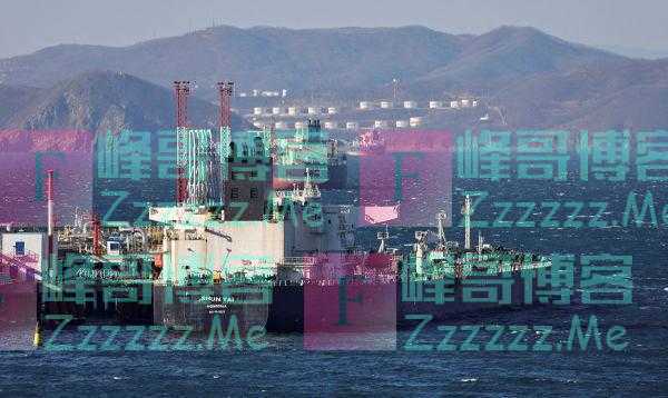 德媒:西方制裁下,俄罗斯外贸额不降反增