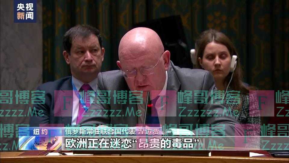 俄罗斯常驻联合国代表：为避免激怒美国 欧洲忍气吞声