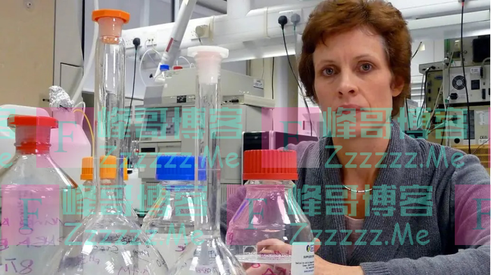 《救命饮食》：我要怎么获得蛋白质？