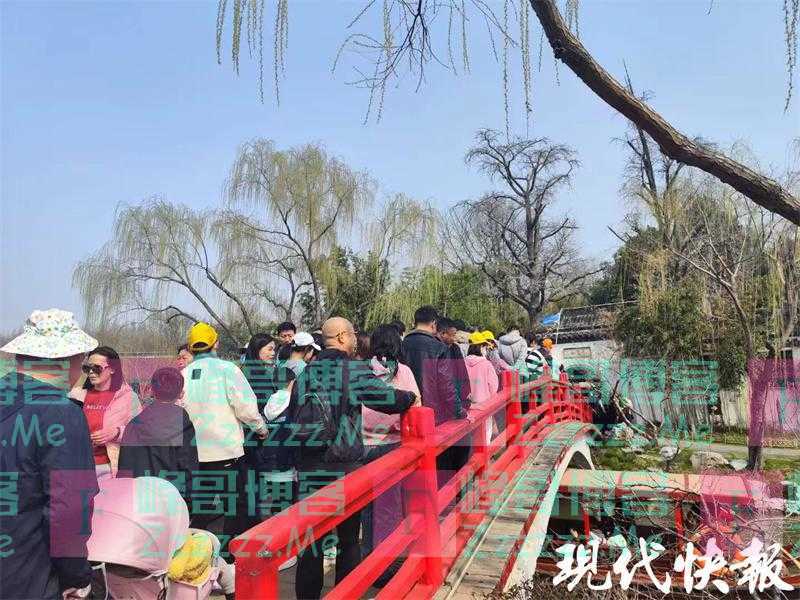 烟花三月下扬州，瘦西湖两个月迎来百万游客