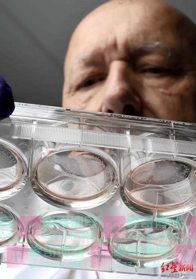 AI之后，OI要来了？研究者：人脑比机器更擅长学习，但存在伦理问题