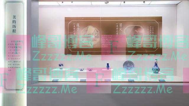 文物说爱莲|清雍正景德镇窑青花缠枝莲纹凤尾尊
