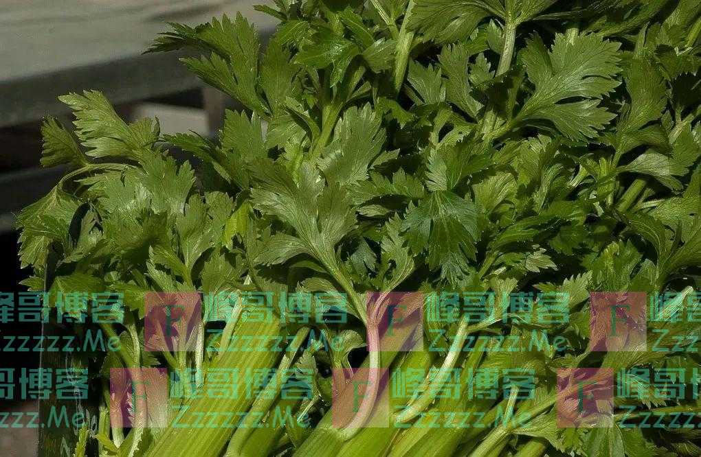 春季多喝这几种粥，补脾养胃、去浊生清，好处多多！