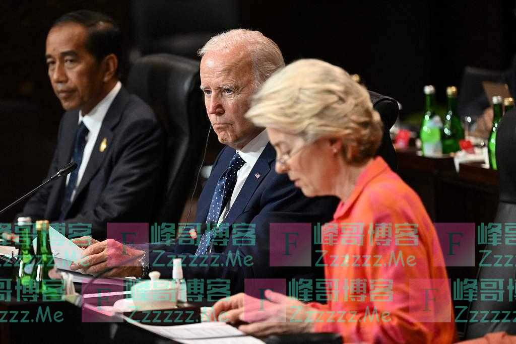 美欧补贴纠纷背景下,冯德莱恩见拜登要谈中国“挑战”?